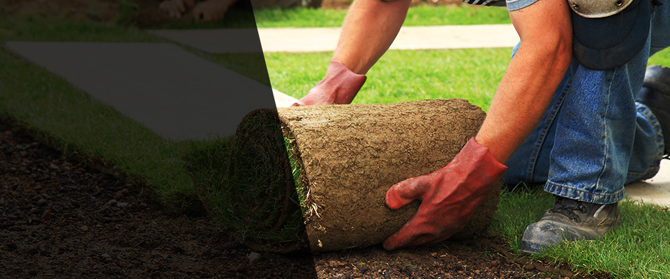 Litchfield Landscapers